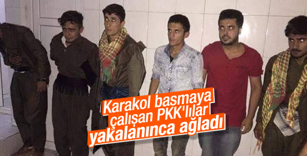 6 PKK`lı karakola girmeden yakalandı