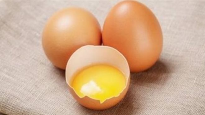 Kireçlenme hastalığına yumurta proteini tedavisi