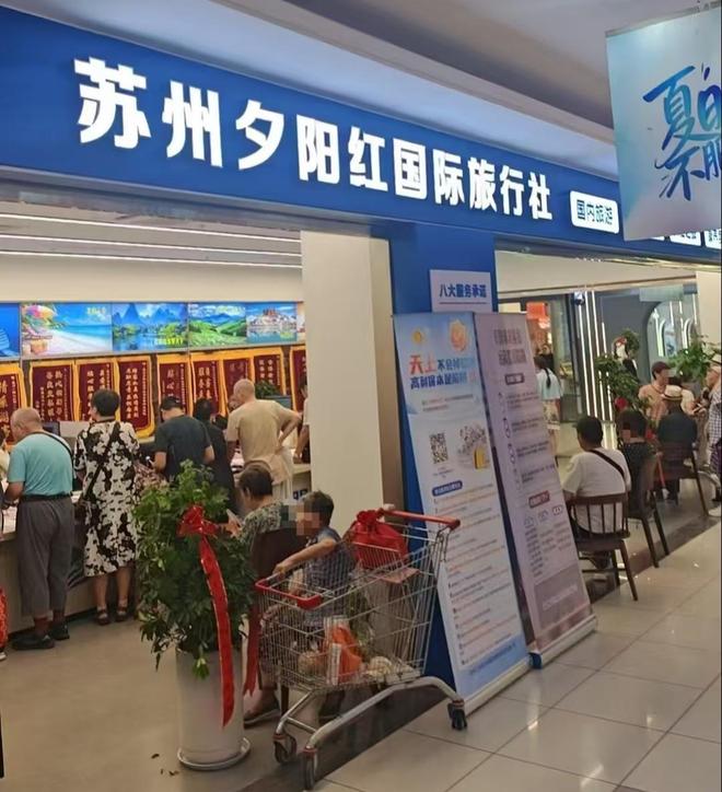 卢卡库替补造乌龙,比利时1