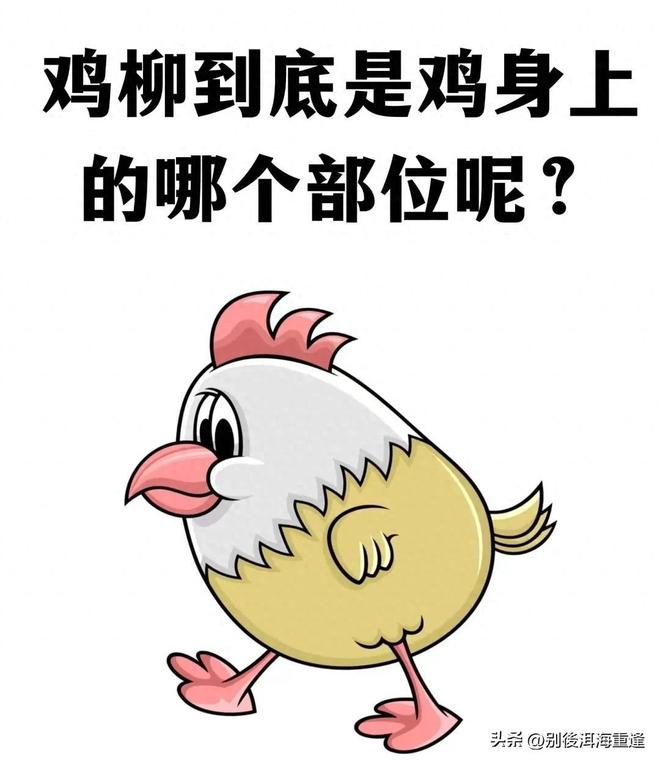 美国2比0战胜波黑,东道主齐进美加墨世界杯16强