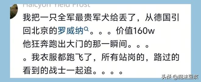 亚马尔世界杯首秀爆大冷,西班牙0:0佛得角赛后评分