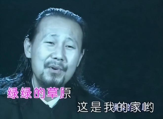 世界杯抢镜王:宠物鸭“梅林”身披墨西哥战袍走红网络