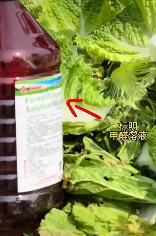 扑救失误导致球队输球,挪威门将尼兰德赛后抱头痛哭